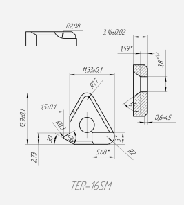 TER 16 SM