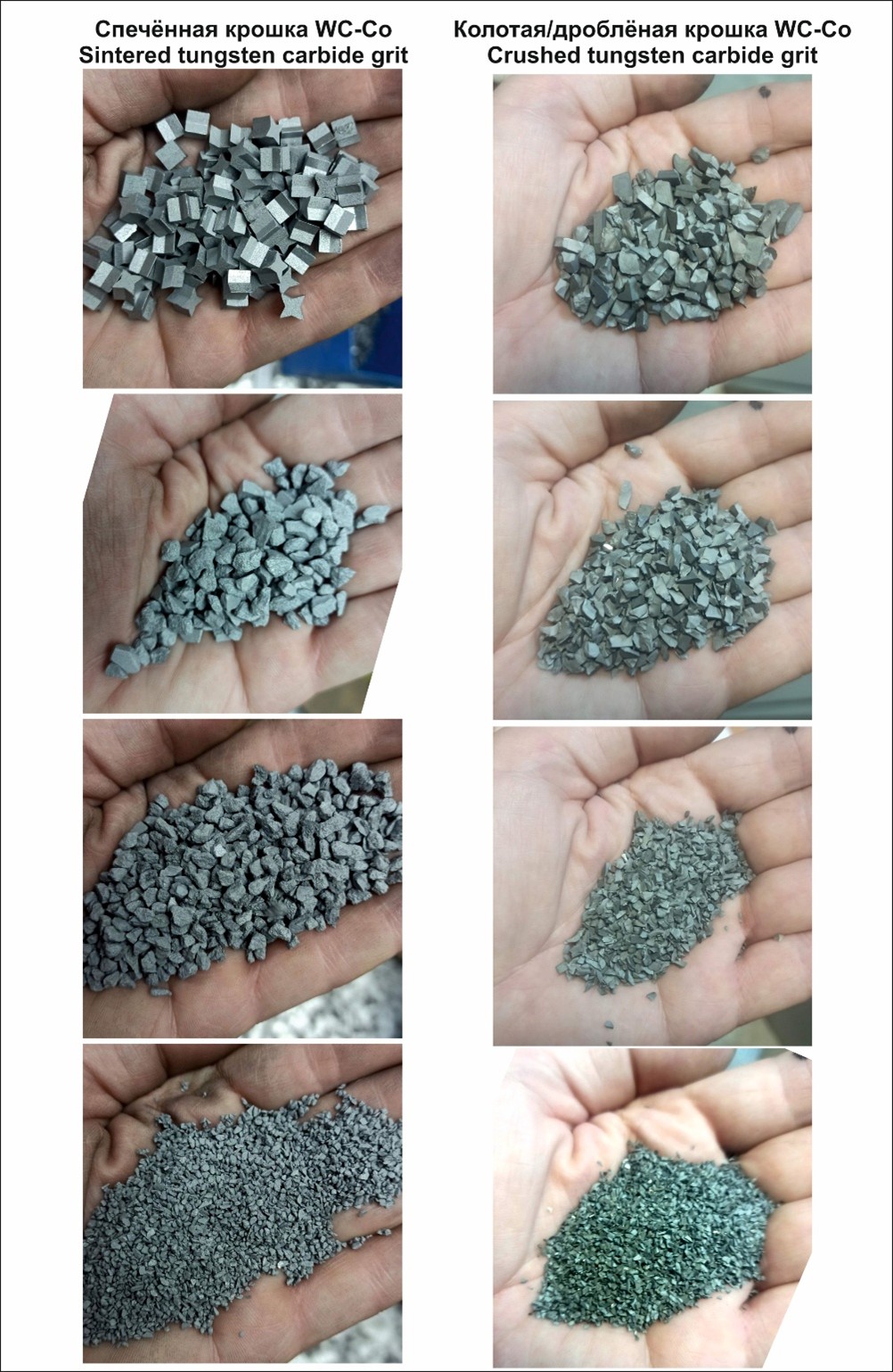 Comparison of WC-Co tungsten carbide particles across four rows. The left column displays sintered tungsten carbide with regular cubic shapes held in hands, transitioning from coarse large particles at the top to increasingly fine micro-particles at the bottom. The right column displays crushed tungsten carbide with angular, irregular fragments, likewise sorted from larger particles at the top to fine granules at the bottom. Both materials exhibit a silvery-gray metallic color against skin, demonstrating the visual contrast between sintered and crushed carbide manufacturing methods and particle size gradations.